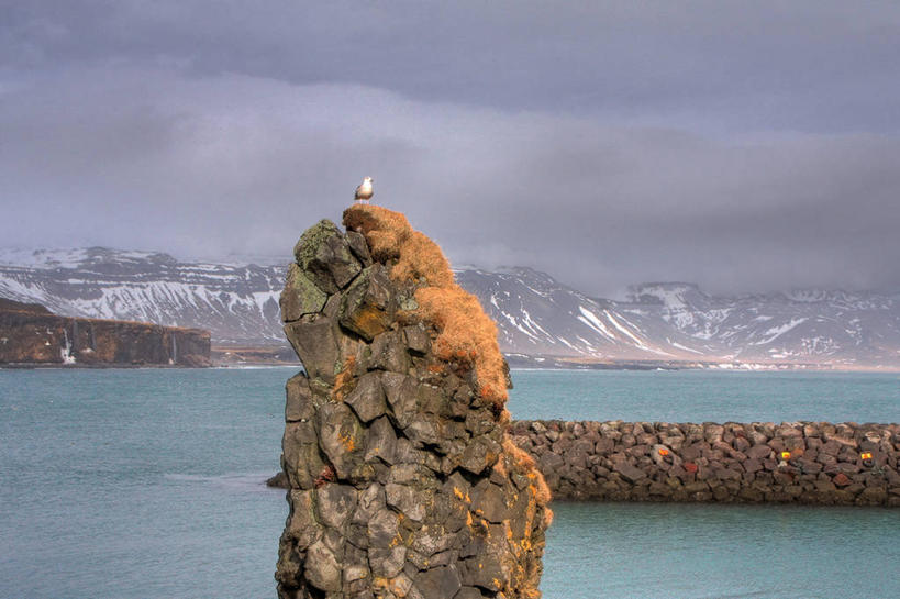 无人,横图,室外,白天,山脉,多云,海鸥,野生动物,冰岛,地形,悬崖,石墙,风景,摄影,栖息,宁静,岩层,斯奈山半岛,岩石,彩图
