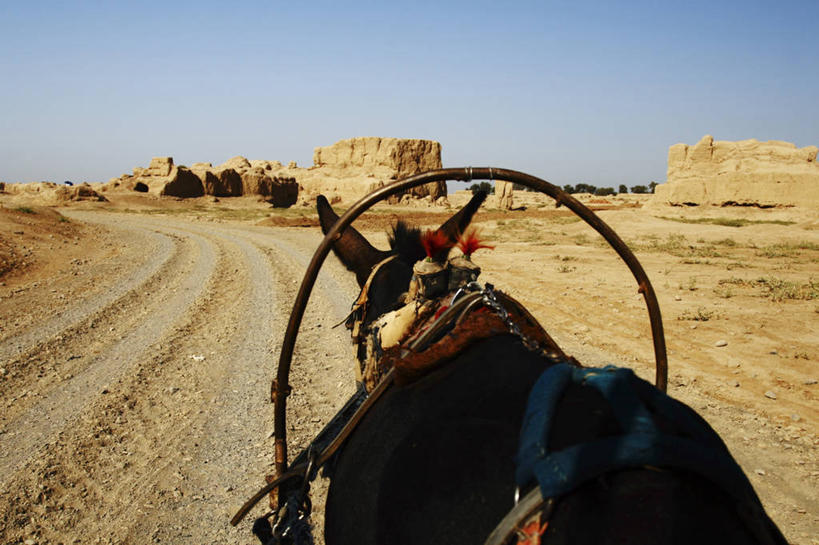 无人,拉,横图,室外,白天,旅游,沙漠,废墟,家畜,摄影,考古学,吐鲁番,万里无云,新疆维吾尔自治区,驴子,古代文明,彩图,旅行