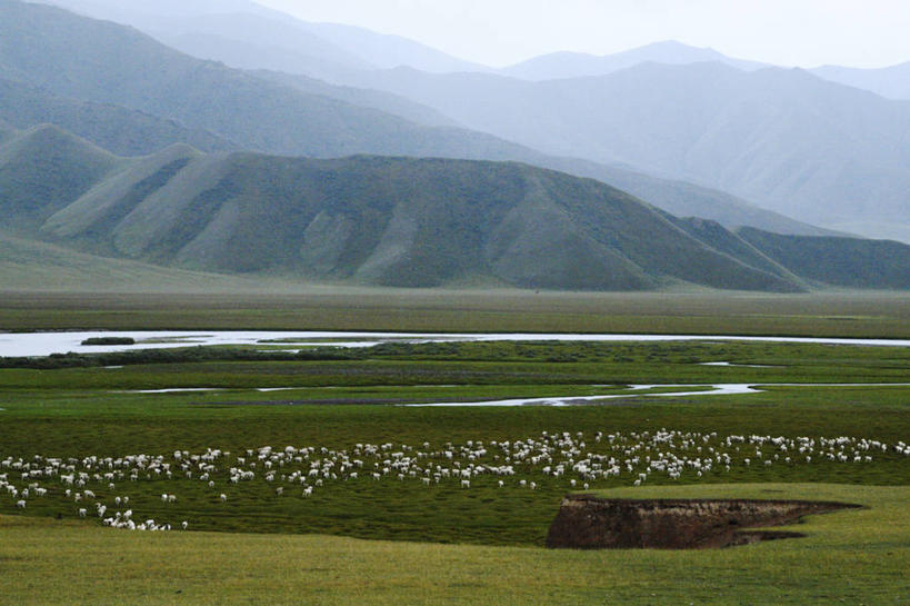 无人,横图,俯视,室外,白天,旅游,度假,牧场,河流,美景,山,山脉,多云,一群,许多,地形,景观,流水,田地,悬崖,羊群,很多,娱乐,草,风景,天空,自然,享受,休闲,家畜,景色,放松,摄影,牲畜,宁静,国家公园,自然风光,新疆维吾尔自治区,自然保护区,天山山脉,绵羊,彩图,高角度拍摄