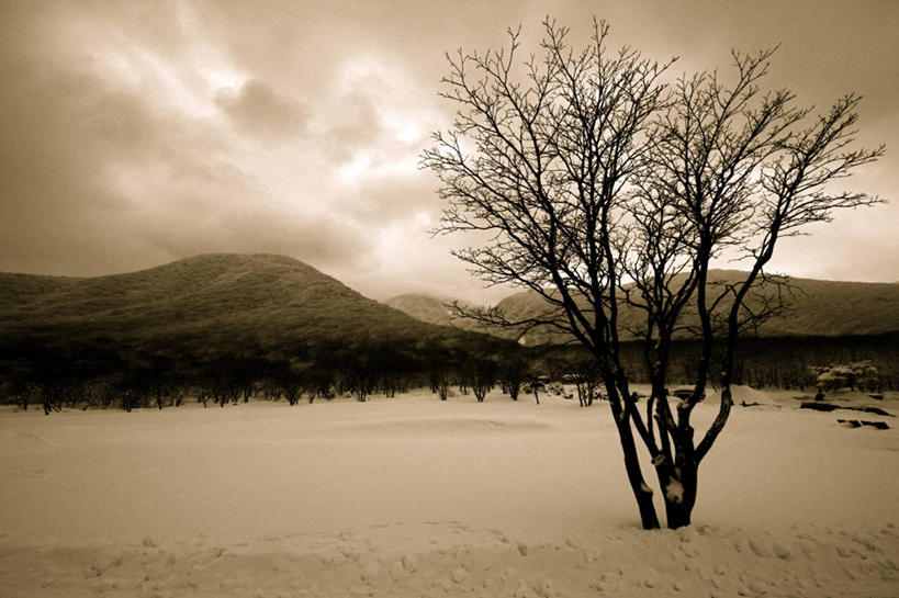 无人,横图,室外,美景,山,雪,济州岛,韩国,地形,景观,冬天,风景,自然,黄昏,景色,摄影,国家公园,自然风光,朝鲜半岛,彩图