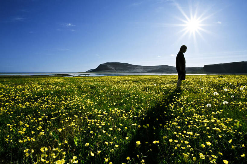 成年人,中年人,一个人,站,横图,室外,白天,侧面,镜头眩光,旅游,度假,草地,海洋,美景,山,水,太阳,欧洲,冰岛,仅一个男性,仅一个女性,仅一个人,仅一个中年男性,丰富,地平线,景观,水平线,田地,娱乐,花,天空,自然,仅一个中年女性,享受,休闲,思考,景色,放松,摄影,自然风光,北欧,剪影,逆光,耀斑,万里无云,冰岛共和国,男人,男性,女人,女性,中年男性,中年女性,彩图,西峡湾区,独处,景观设计