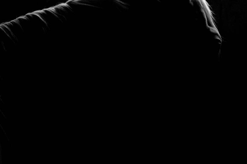 无人,横图,黑白,室内,神秘,马,加拿大,黑色背景,黑色,动物,摄影,部分,逆光,鬃毛,想法,影棚拍摄