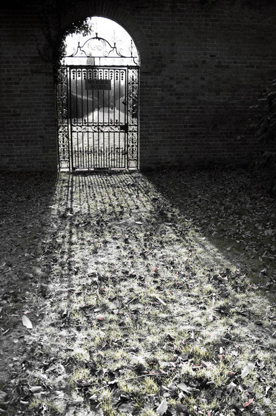 无人,竖图,室外,白天,草坪,叶子,日光,英国,关闭,停靠,大门,拱门,围墙,警告,幻想,警示,摄影,灵感,禁止,提醒,封闭,提示,停泊,限制,北欧,想象,波克夏,危险,秋天,彩图