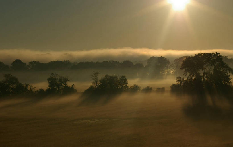 无人,横图,室外,镜头眩光,草地,日出,美景,雾,美国,地形,景观,树,风景,自然,景色,摄影,宁静,自然风光,耀斑,维吉尼亚,彩图