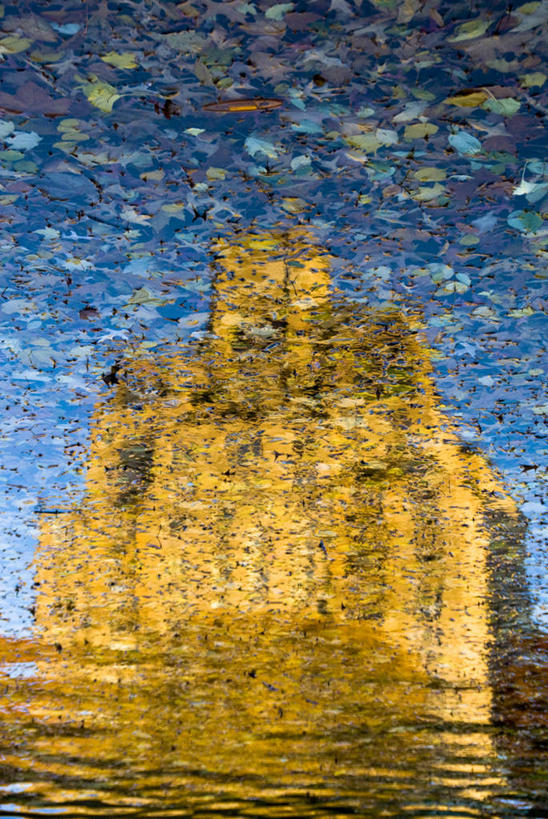 无人,竖图,室外,特写,白天,水,建筑,叶子,纽约,美国,波纹,反射,曼哈顿,摄影,第五大道,中央公园,纽约州,彩图,旅行