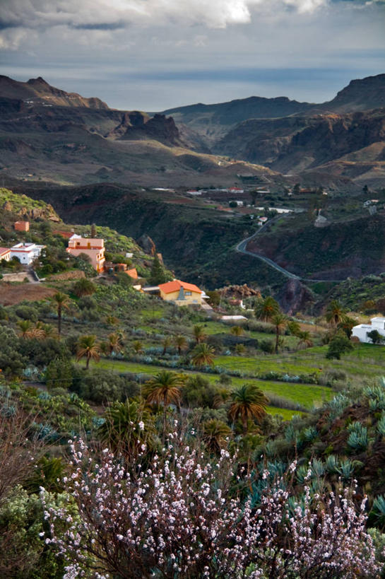无人,竖图,室外,白天,石头,山,山脉,峡谷,西班牙,智利,石子,房屋,山谷,首都,树,南美,摄影,灌木,宁静,南美洲,拉丁美洲,岩层,美洲,伊比利亚半岛,圣地亚哥,首府,亚美利加洲,南亚美利加洲,智利共和国,大西洋群岛,大加纳利,石块,岩石,彩图,旅行,圣地亚哥首都大区,圣卢西亚山