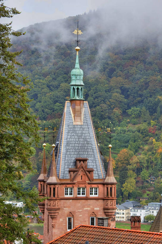 无人,竖图,室外,白天,建筑,德国,屋顶,云,塔,尖顶,枝,摄影,市政厅,德国文化,哥特式风格,海德堡,彩图,旅行