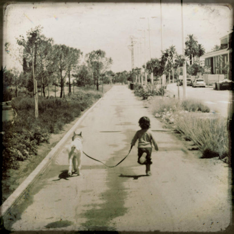 西方人,儿童,一个人,方图,黑白,纯洁,路灯,汽车,宠物,狗,西班牙,欧洲,欧洲人,仅一个女性,仅一个人,人行道,郊区,小孩,背面,动物,仅一个小孩,可爱,童年,童趣,哈士奇,哈士奇犬,摄影,灌木,西伯利亚雪橇犬,雪橇犬,透视图,带领,童真,狗链,烂漫,无邪,忠诚,哈士奇狗,西伯利亚哈士奇,巴伦西亚省,天真,女孩,女人,女性,白种人,孩子,犬,步行,彩图,女生,西伯利亚犬