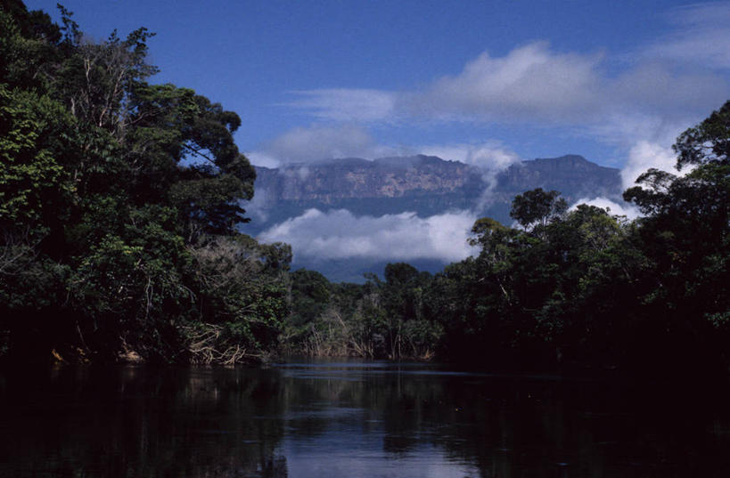 无人,横图,室外,白天,河流,委内瑞拉,地形,风景,自然,摄影,山脊,热带气候,热带雨林,彩图