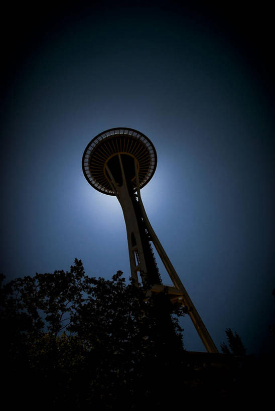 无人,竖图,室外,白天,仰视,建筑,美国,宏伟,树,摄影,剪影,西雅图,无线电通信塔,彩图,低角度拍摄