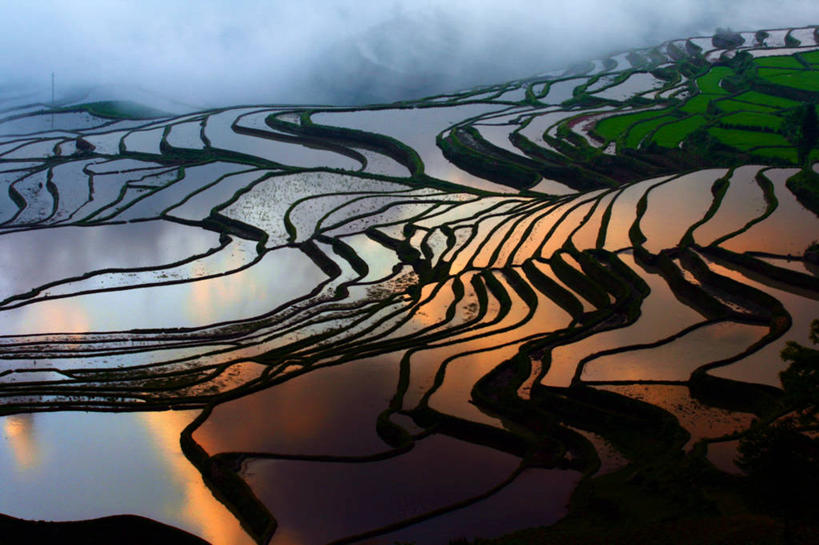 无人,横图,俯视,室外,白天,农业,梯田,美景,雾,日光,反射,稻田,景观,黎明,自然,景色,摄影,宁静,自然风光,元阳,云南省,死水,彩图,高角度拍摄