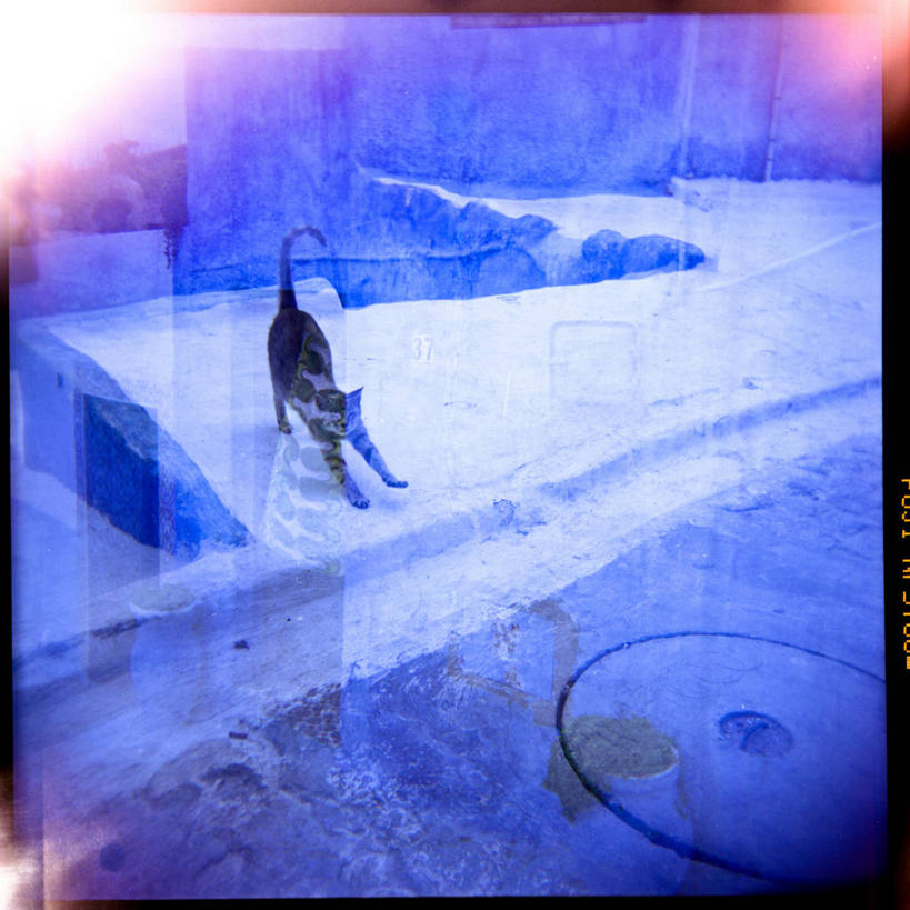 无人,方图,室外,白天,多次曝光,懒惰,宠物,猫,非洲,摩洛哥,伸展,人行道,数码合成,放松,摄影,排水沟,斑纹猫,阿非利加洲,摩洛哥王国,梅克内斯,无忧无虑,彩图