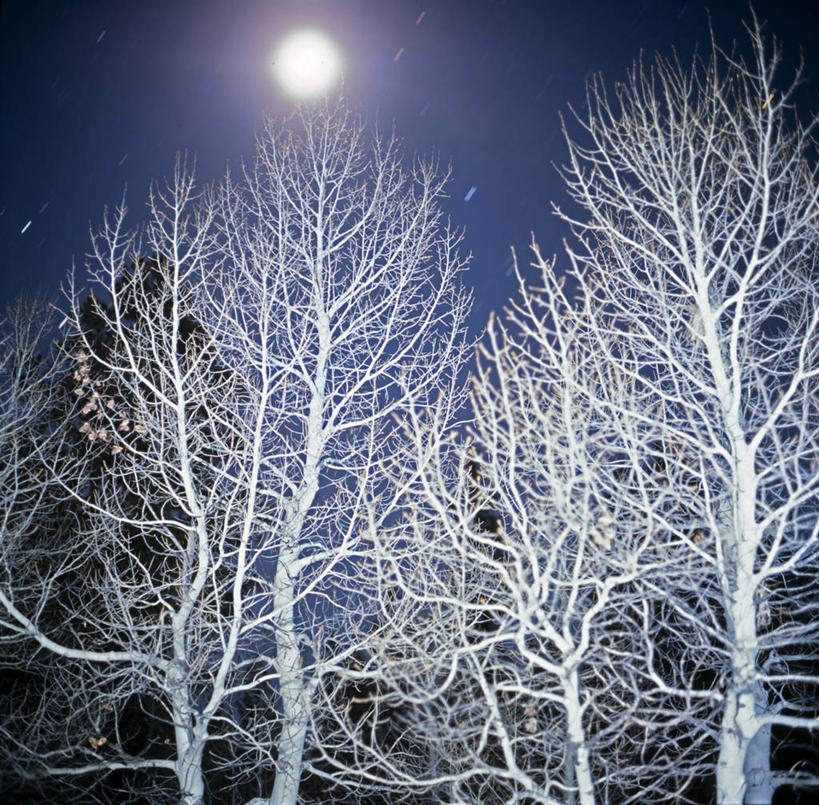 无人,横图,室外,夜晚,长时间曝光,仰视,美国,冬天,满月,月光,霜,自然,寒冷,摄影,怪异,内华达州,彩图,低角度拍摄,塔基