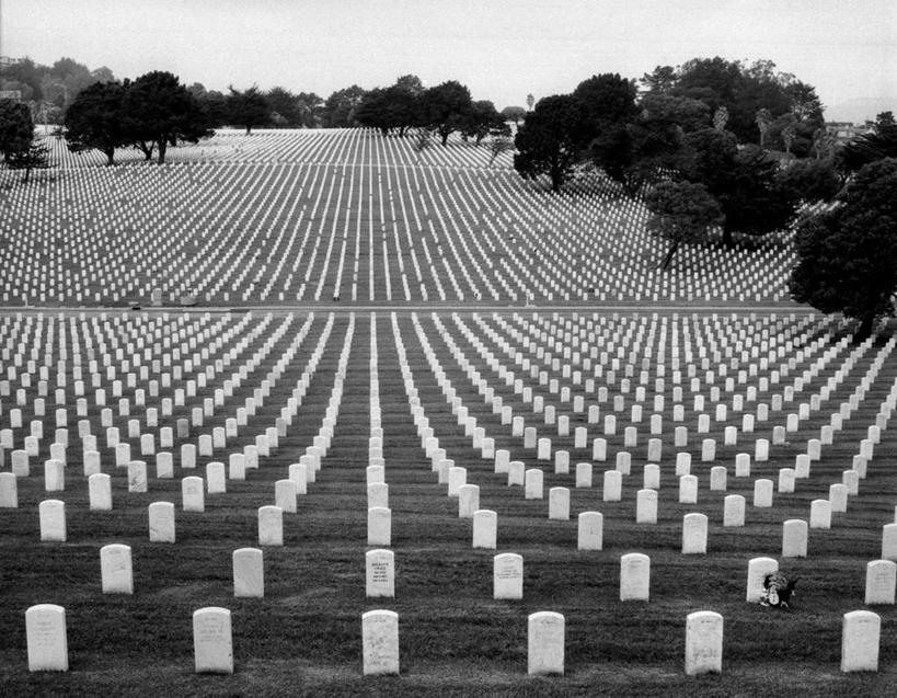 无人,横图,黑白,室外,白天,美国,一排,丰富,整齐,地平线,辽阔,地面,历史,树,排列,墓地,广阔,摄影,一望无际,队列,记忆,延伸,天地相交,无边无际,一马平川,几何形状,圣布鲁诺