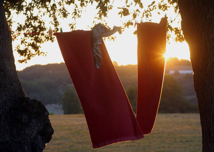 无人,横图,室外,镜头眩光,美景,太阳,日光,法国,吊挂,悬挂,景观,挂,树,洗衣服,自然,毛巾,晾衣服,景色,摄影,自然风光,耀斑,冒险,彩图,旅行