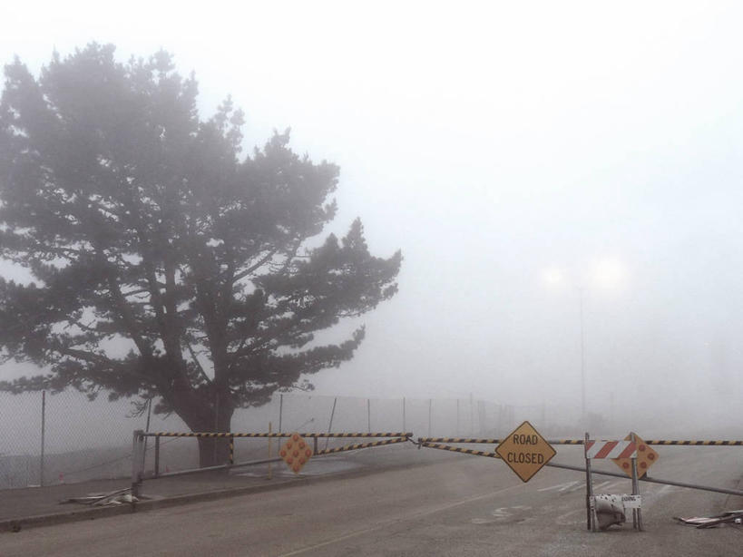 无人,横图,室外,白天,雾,美国,分离,地形,篱笆,路障,树,风景,摄影,宁静,加利福尼亚,彩图,圣布鲁诺