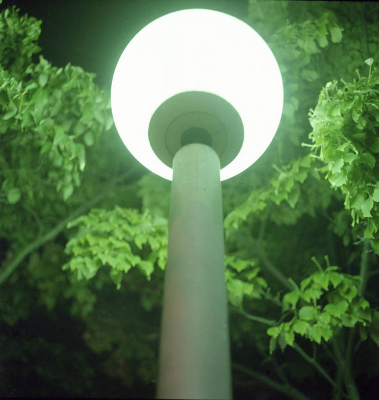 无人,竖图,室外,夜晚,仰视,神秘,路灯,美国,发光,枝,树,摄影,照亮,布鲁克林,彩图,低角度拍摄