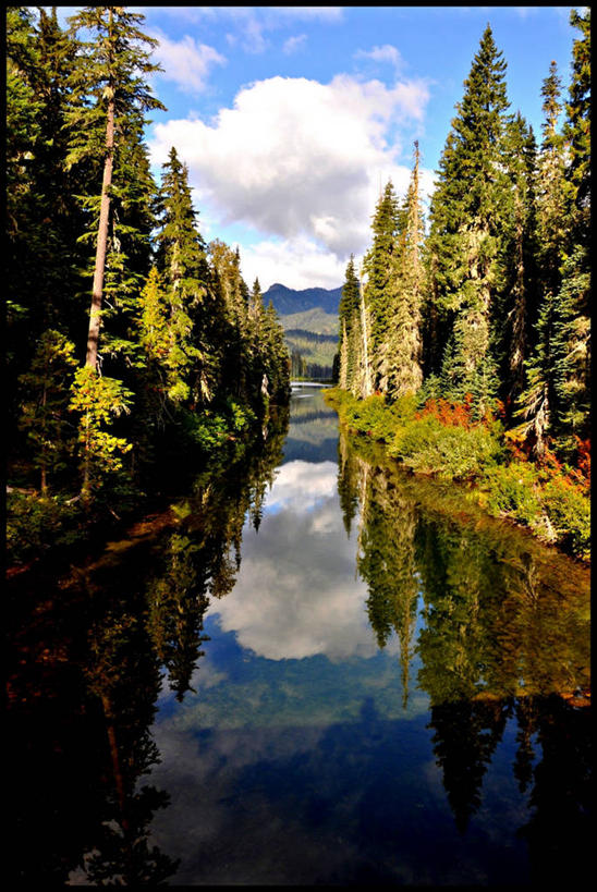 无人,竖图,室外,白天,美景,森林,美国,反射,地形,景观,云,树,风景,自然,景色,摄影,宁静,自然风光,华盛顿州,卡斯基德山脉,彩图