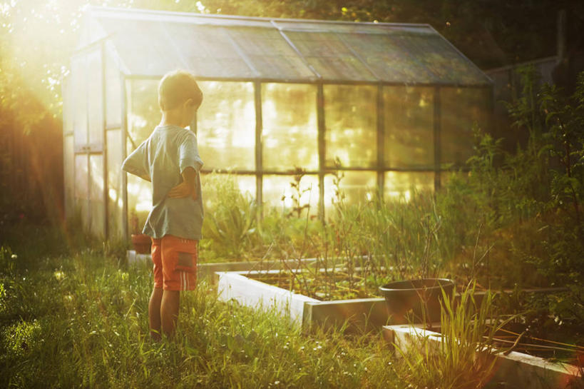 儿童,一个人,菜园,站,横图,室外,侧面,纯洁,日光,新西兰,仅一个男性,仅一个人,T恤,温室,休闲装,草,小孩,自然,叉腰,仅一个小孩,可爱,童年,童趣,摄影,生长,中裤,童真,烂漫,无邪,天真,男孩,男人,男性,孩子,彩图,男生