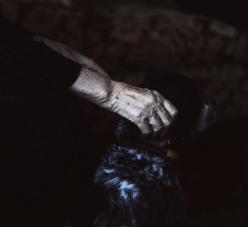 成年人,老年人,手,皱纹,一个人,横图,俯视,特写,友谊,宠物,狗,欧洲,仅一个女性,仅一个人,首都,人体,摄影,仅一个老年女性,部分,爱抚,安卡拉,老年女性,女人,女性,彩图,高角度拍摄