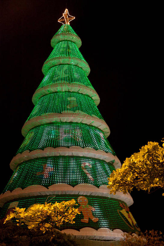 无人,竖图,室外,夜晚,巴西,圣诞节,庆祝,圣诞树,现代,摄影,照亮,圣卡塔琳娜,彩图,传统文化