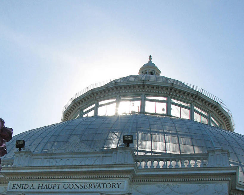 无人,植物园,横图,室外,白天,仰视,建筑,日光,美国,温室,天空,摄影,圆顶建筑,彩图,低角度拍摄