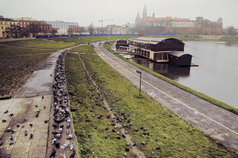 无人,横图,室外,白天,雾,波兰,一群,许多,停靠,漂浮,弯曲,人行道,很多,风景,地标建筑,摄影,宁静,渡轮,停泊,克拉科夫,维斯瓦河,彩图,瓦维尔主教座堂