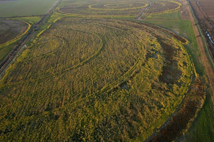 无人,农田,横图,俯视,航拍,室外,白天,农业,庄稼,农作物,美景,圆形,景观,绿色,自然,芥菜,景色,摄影,生长,宁静,简单,鸟瞰,自然风光,马林县,彩图,高角度拍摄,耕地,庄稼田