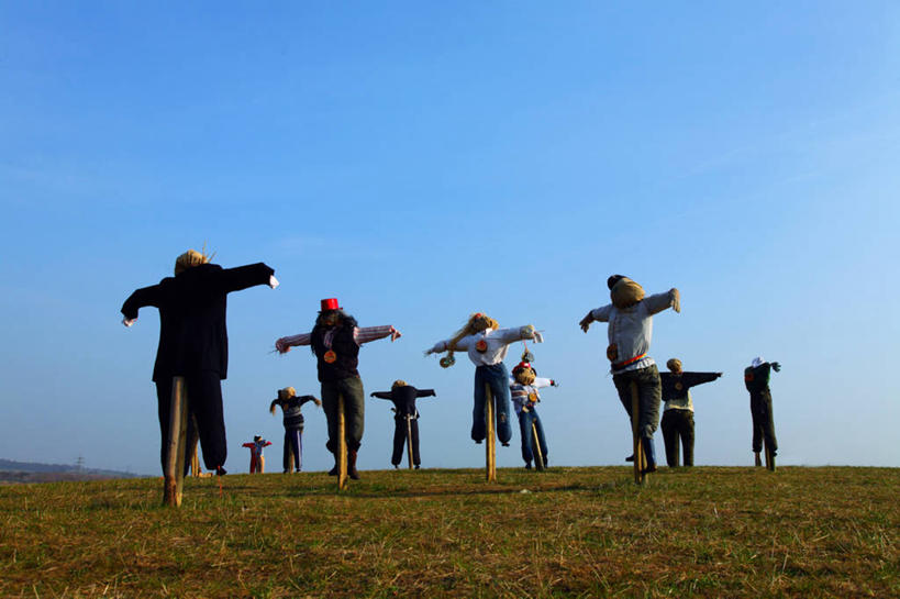无人,横图,室外,白天,英国,一排,许多,整齐,田地,很多,稻草人,排列,摄影,保护,队列,万里无云,想法,彩图