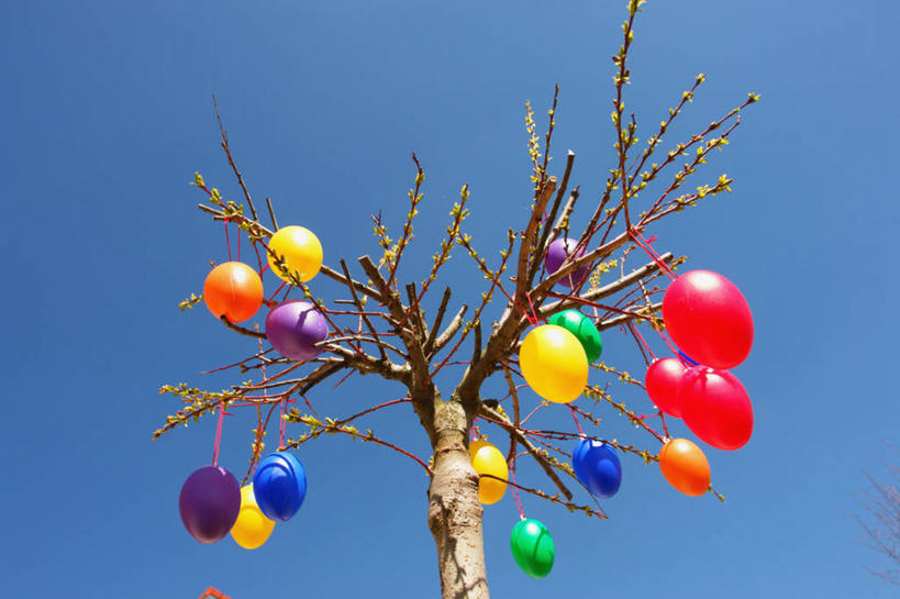 无人,横图,室外,白天,仰视,德国,复活节,吊挂,悬挂,庆祝,装饰,枝,挂,树,摄影,复活节彩蛋,万里无云,彩图,低角度拍摄