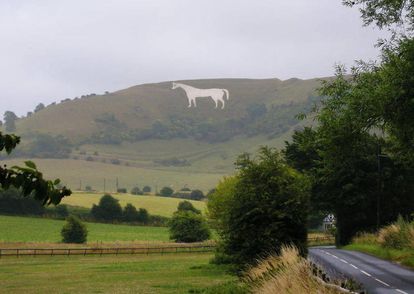 无人,横图,室外,白天,草地,森林,马,英国,地形,风景,摄影,宁静,索尔兹伯里平原,英国文化,美术工艺,彩图,过去