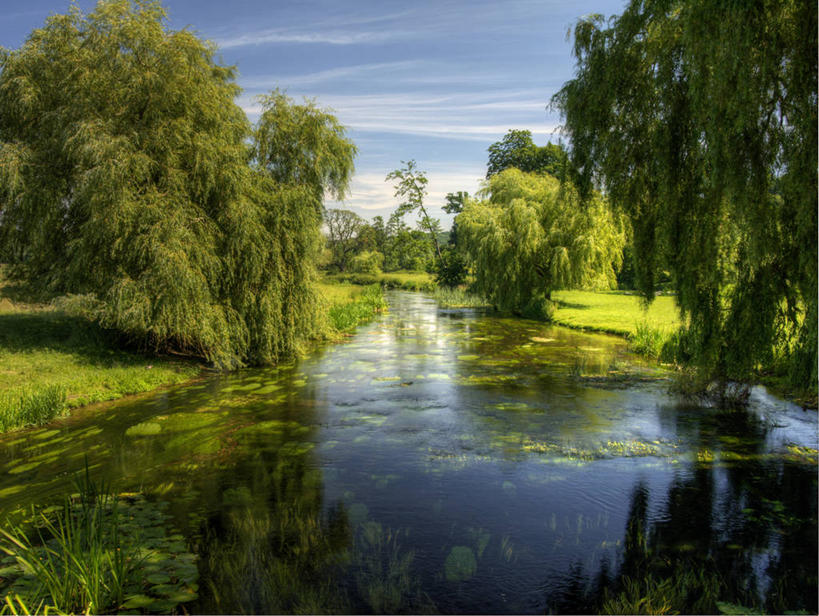 无人,横图,室外,白天,美景,柳树,地形,景观,绿色,风景,自然,景色,摄影,宁静,自然风光,透视图,彩图