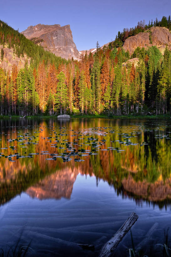 无人,竖图,室外,白天,美景,森林,反射,景观,山顶,风景,自然,景色,摄影,宁静,自然风光,科罗拉多州,洛矶山脉,彩图,落基山国家公园