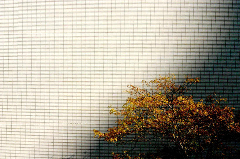 无人,音乐厅,横图,室外,白天,留白,建筑,日光,美国,歌剧院,现代,树,摄影,伊利诺斯州,芝加哥市,彩图