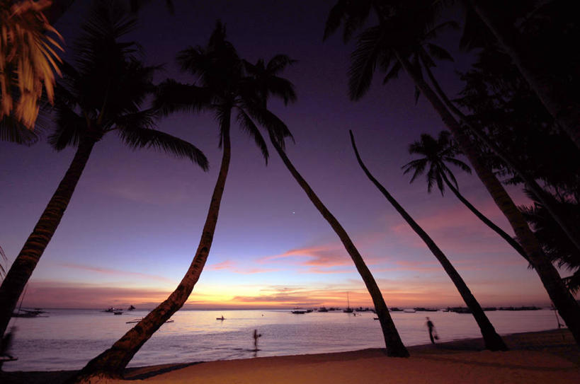 横图,室外,度假,海洋,美景,日落,棕榈树,菲律宾,河岸,景观,水平线,风景,自然,景色,摄影,宁静,自然风光,剪影,长滩岛,海滩,彩图