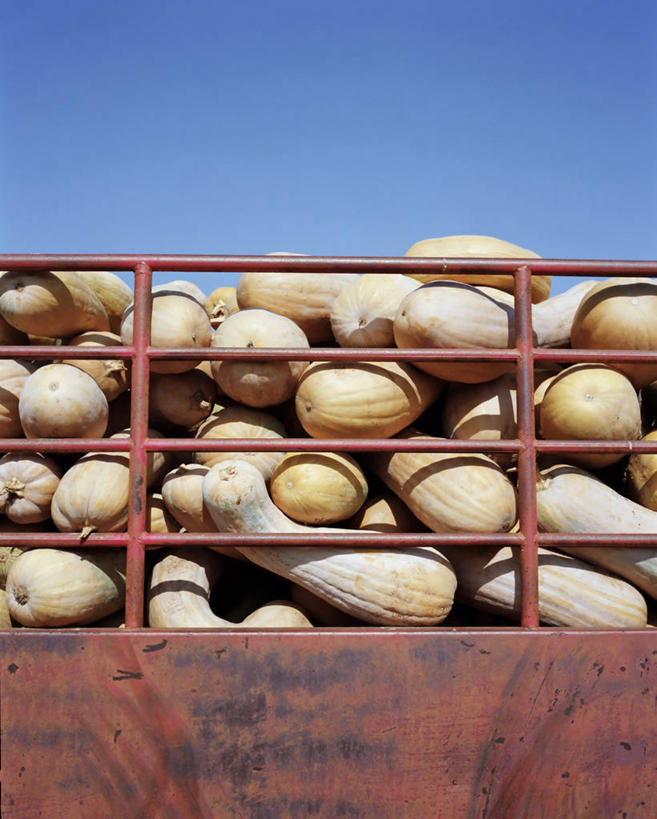 无人,栏杆,竖图,室外,白天,仰视,塞浦路斯,亚洲,堆叠,丰富,葫芦,首都,饮食,摄影,西亚,万里无云,塞浦路斯共和国,尼科西亚,彩图,低角度拍摄