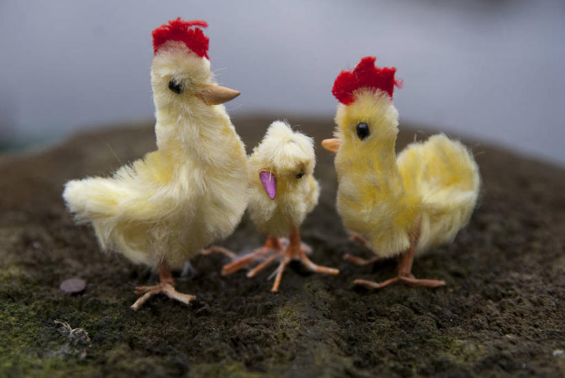 无人,横图,室外,白天,玩具,荷兰,复活节,鸟类,三个,动物,摄影,彩图,小鸡