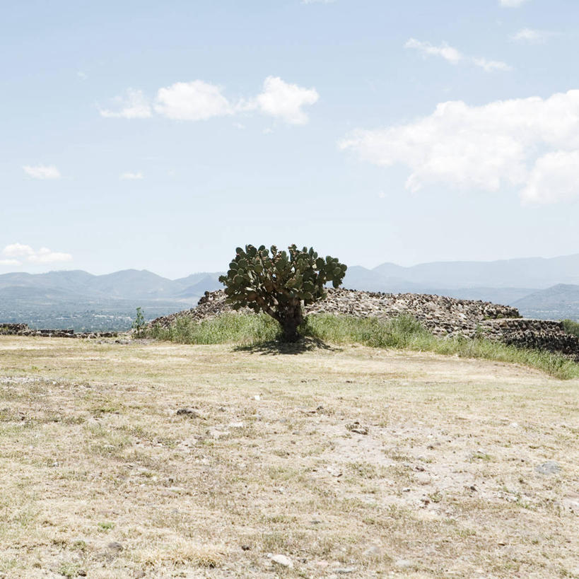 无人,方图,室外,白天,墨西哥,地平线,地形,辽阔,地面,风景,广阔,摄影,一望无际,拉丁美洲,延伸,仙人掌果,天地相交,无边无际,一马平川,彩图