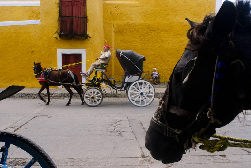 成年人,坐,横图,室外,城市,街道,马,墨西哥,长椅,马车,动物,两只,读书,运输,摄影,拉丁美洲,尤卡坦州,彩图