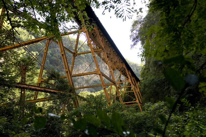 无人,横图,室外,白天,仰视,森林,建筑,路,铁路,墨西哥,金属,轨道,交通,铁轨,树,运输,摄影,支撑,拉丁美洲,万里无云,彩图,低角度拍摄