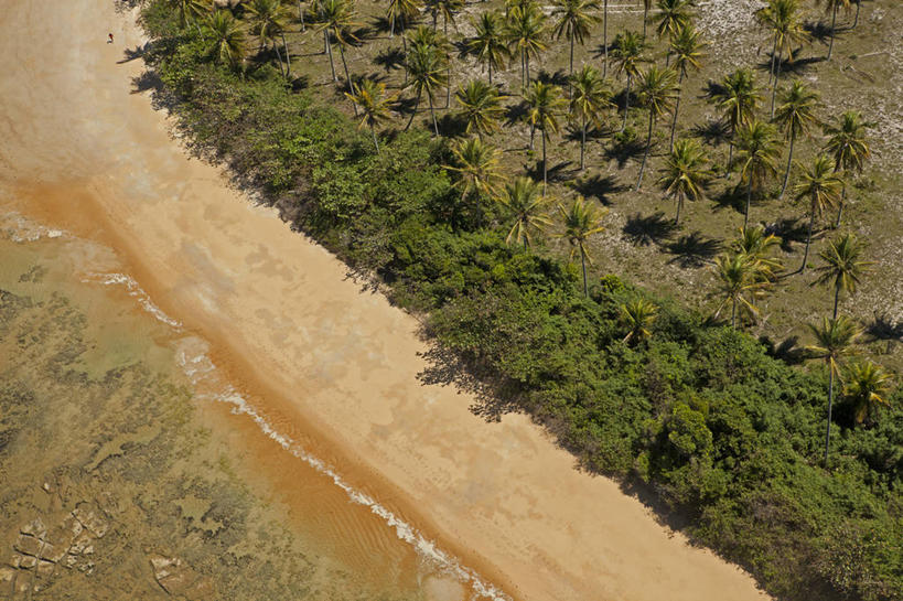 无人,横图,俯视,航拍,室外,白天,旅游,度假,海洋,美景,巴西,沙子,地形,景观,娱乐,风景,自然,享受,休闲,景色,南美,放松,摄影,宁静,热带气候,拉丁美洲,鸟瞰,自然风光,巴伊亚州,暗礁,海滩,椰子树,彩图,高角度拍摄,塞古鲁港