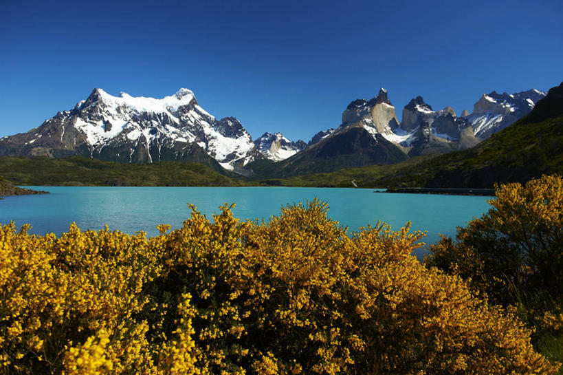 无人,横图,室外,白天,旅游,度假,湖,美景,山,山脉,雪山,植物,智利,地形,景观,宏伟,娱乐,黄色,风景,自然,享受,休闲,景色,南美,放松,摄影,宁静,拉丁美洲,自然风光,万里无云,巴塔哥尼亚,百内国家公园,彩图,澎湖