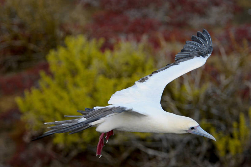 无人,横图,室外,白天,侧面,旅游,厄瓜多尔,自然,地标建筑,摄影,国家公园,加拉帕戈斯群岛,彩图,旅行