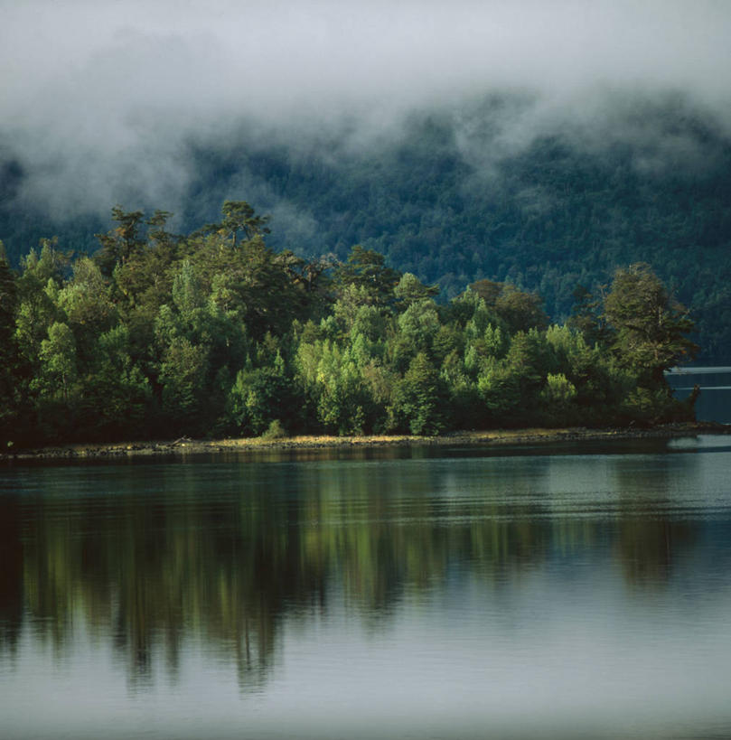 无人,竖图,俯视,航拍,室外,白天,旅游,海洋,森林,水,智利,地形,树,绿色,风景,自然,摄影,鸟瞰,敲诊槌,彩图,高角度拍摄,旅行