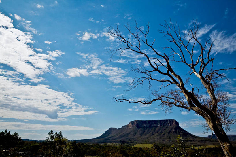 无人,横图,室外,白天,美景,山,巴西,景观,云,热,树,树干,天空,自然,景色,南美,摄影,生长,宁静,环境,南美洲,拉丁美洲,岩层,自然风光,美洲,干的,巴西联邦共和国,亚美利加洲,南亚美利加洲,南马托格罗索,南马托格罗索州,岩石,彩图
