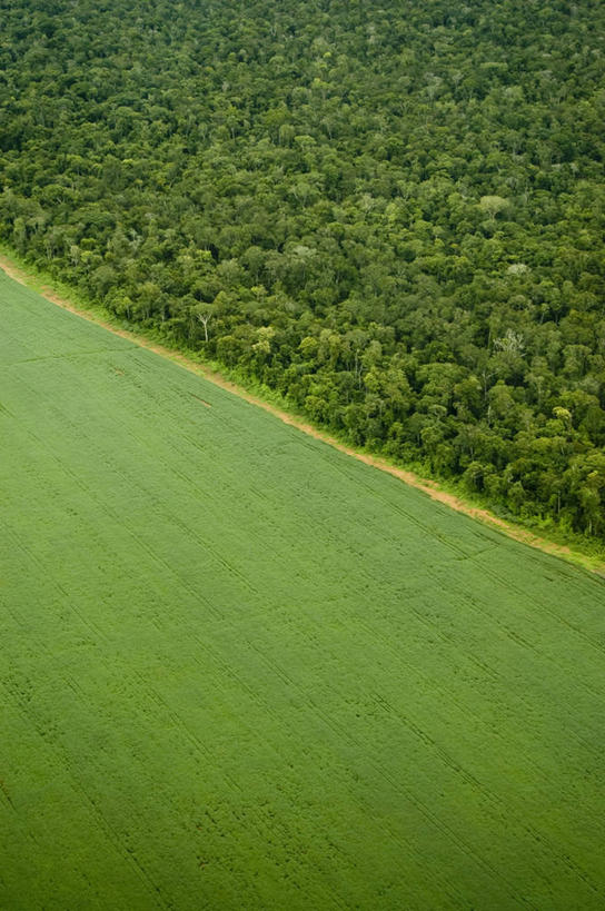 无人,竖图,俯视,室外,白天,美景,森林,环保,地球,景观,泥土,树,风景,自然,景色,摄影,能源,宁静,环境,回收,资源,自然风光,热带雨林,利用,低碳,循环,持续,类地行星,彩图,高角度拍摄,亚马逊雨林