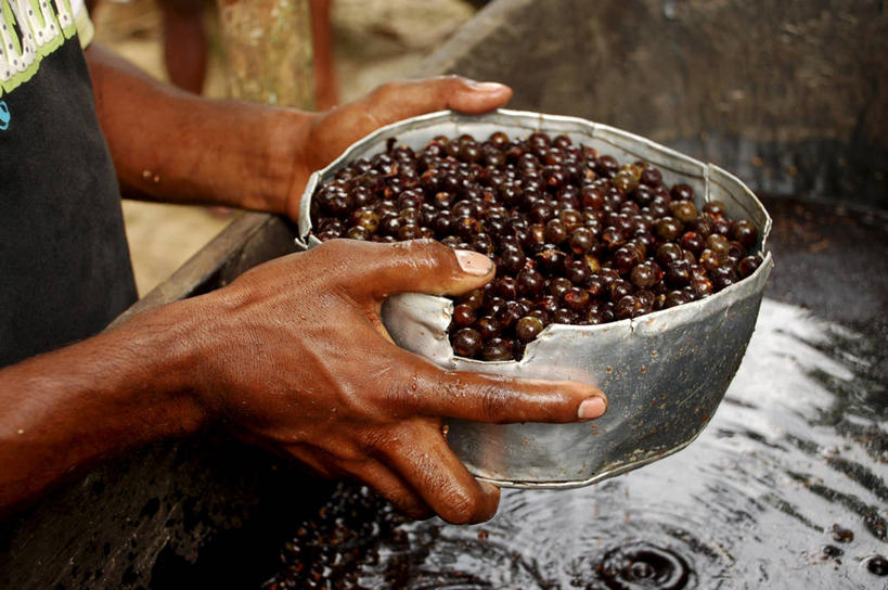 手,一个人,横图,室外,白天,准备,丰富,食品,拿着,饮食,容器,工业,人体,摄影,有机食品,石油工业,清新,彩图