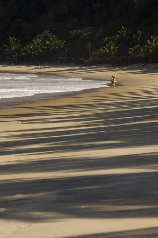 成年人,两个人,竖图,室外,白天,度假,自由,海浪,海洋,棕榈树,巴西,阴影,沙子,南美,摄影,南美洲,拉丁美洲,美洲,巴西联邦共和国,亚美利加洲,南亚美利加洲,北大河州,北里奥格兰德州,北里约格朗德,无忧无虑,海滩,步行,彩图,旅行