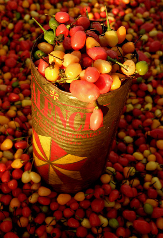 无人,竖图,室外,消费,蔬菜,巴西,许多,丰富,新鲜,食品,市场,很多,饮食,食物,容器,南美,零售,摄影,有机食品,绿色食品,清新,彩图