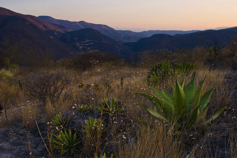 无人,横图,室外,旅游,度假,美景,山,植物,墨西哥,地形,景观,娱乐,风景,天空,自然,黄昏,享受,休闲,景色,放松,摄影,生长,宁静,环境,拉丁美洲,自然风光,美洲,瓦哈卡州,瓦哈卡,岩石,彩图,旅行